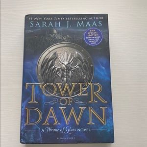 EXCLUSIVE Tower of Dawn